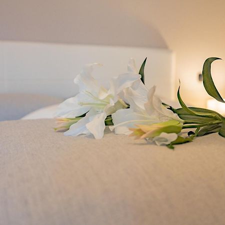 Milan Forum Camelia Guesthouse أسّاغو المظهر الخارجي الصورة